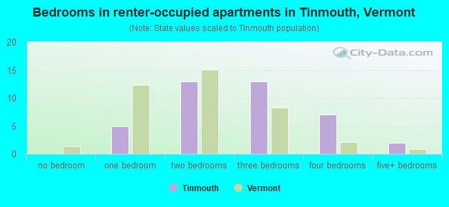 Bedrooms in renter-occupied apartments in Tinmouth, Vermont