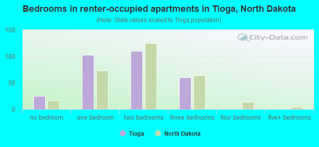 Bedrooms in renter-occupied apartments in Tioga, North Dakota