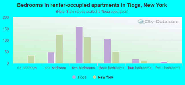 Bedrooms in renter-occupied apartments in Tioga, New York