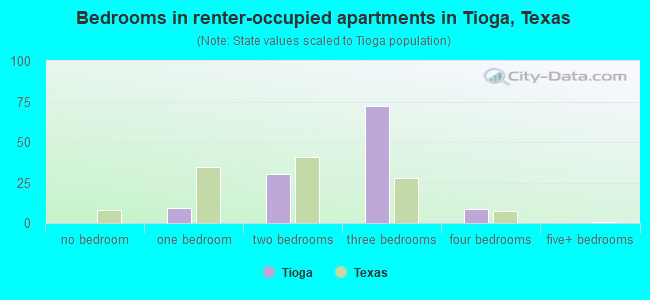 Bedrooms in renter-occupied apartments in Tioga, Texas