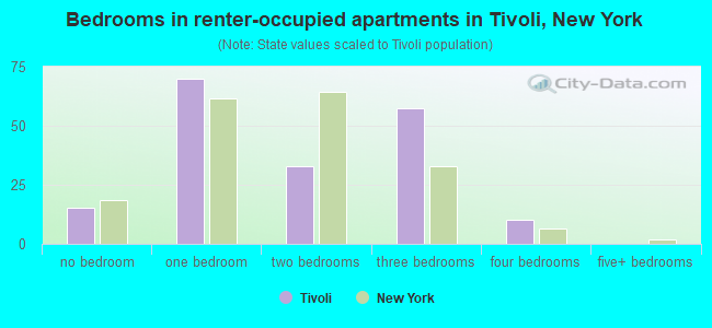Bedrooms in renter-occupied apartments in Tivoli, New York