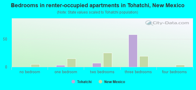 Bedrooms in renter-occupied apartments in Tohatchi, New Mexico