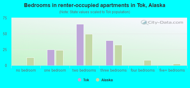 Bedrooms in renter-occupied apartments in Tok, Alaska