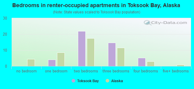 Bedrooms in renter-occupied apartments in Toksook Bay, Alaska