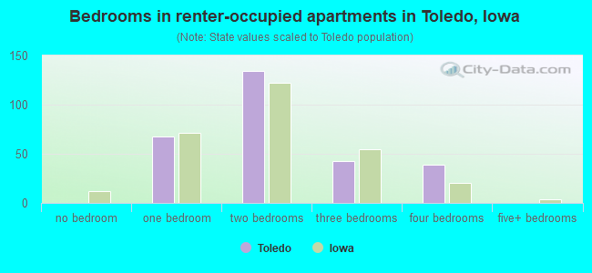 Bedrooms in renter-occupied apartments in Toledo, Iowa