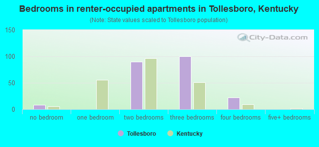 Bedrooms in renter-occupied apartments in Tollesboro, Kentucky