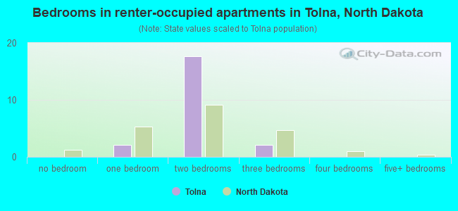 Bedrooms in renter-occupied apartments in Tolna, North Dakota