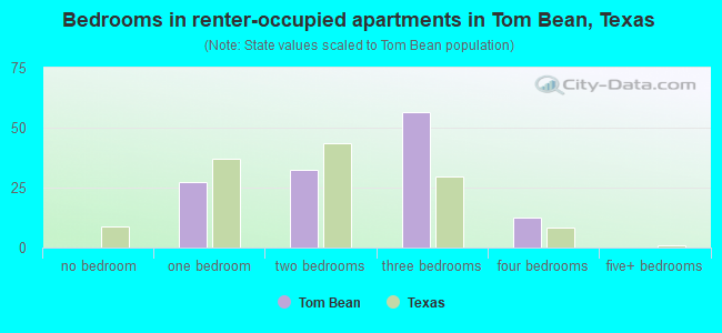 Bedrooms in renter-occupied apartments in Tom Bean, Texas