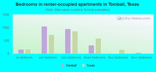 Bedrooms in renter-occupied apartments in Tomball, Texas