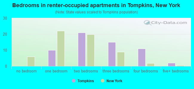 Bedrooms in renter-occupied apartments in Tompkins, New York