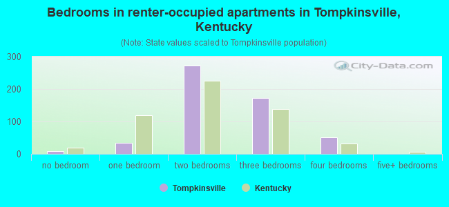 Bedrooms in renter-occupied apartments in Tompkinsville, Kentucky