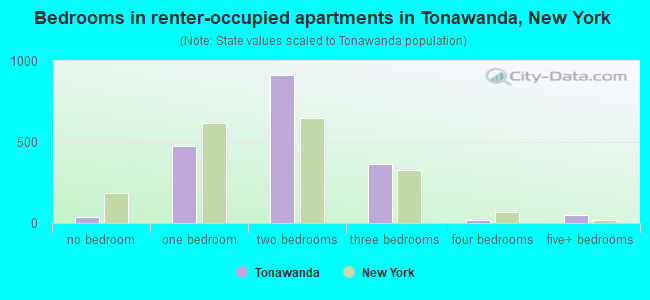 Bedrooms in renter-occupied apartments in Tonawanda, New York