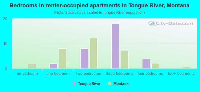 Bedrooms in renter-occupied apartments in Tongue River, Montana