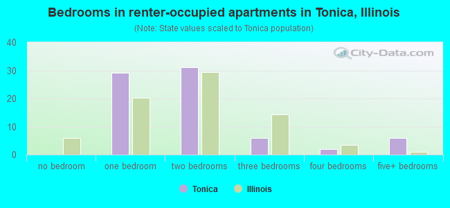 Bedrooms in renter-occupied apartments in Tonica, Illinois