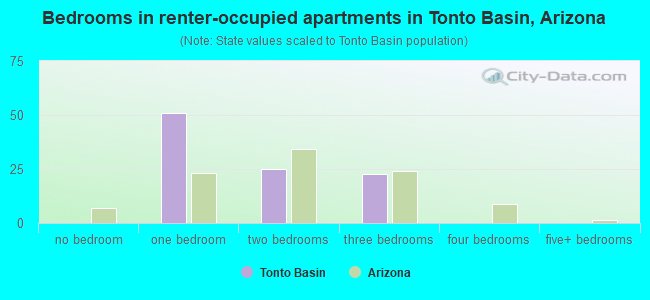 Bedrooms in renter-occupied apartments in Tonto Basin, Arizona