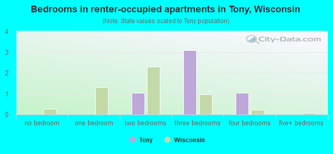 Bedrooms in renter-occupied apartments in Tony, Wisconsin