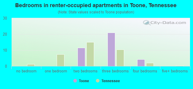Bedrooms in renter-occupied apartments in Toone, Tennessee