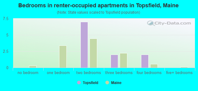 Bedrooms in renter-occupied apartments in Topsfield, Maine