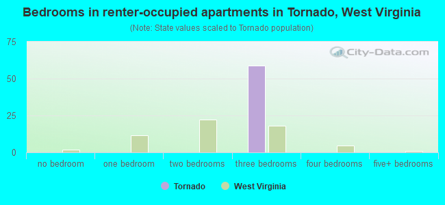 Bedrooms in renter-occupied apartments in Tornado, West Virginia