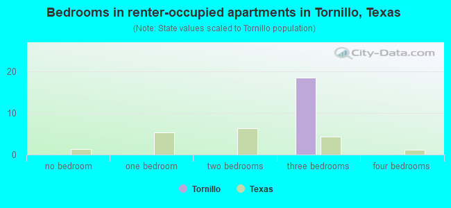 Bedrooms in renter-occupied apartments in Tornillo, Texas