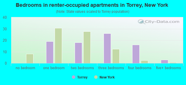 Bedrooms in renter-occupied apartments in Torrey, New York