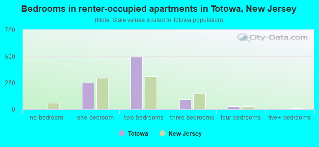 Bedrooms in renter-occupied apartments in Totowa, New Jersey