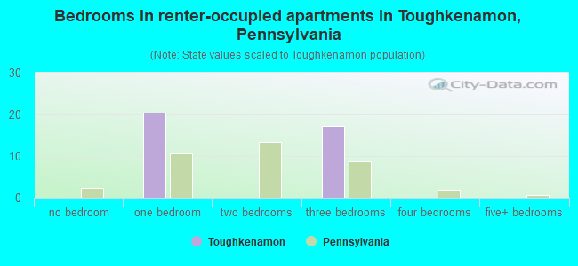 Bedrooms in renter-occupied apartments in Toughkenamon, Pennsylvania