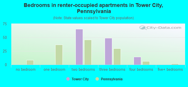 Bedrooms in renter-occupied apartments in Tower City, Pennsylvania