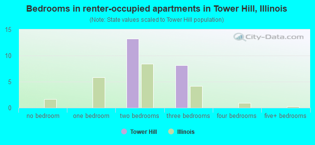 Bedrooms in renter-occupied apartments in Tower Hill, Illinois