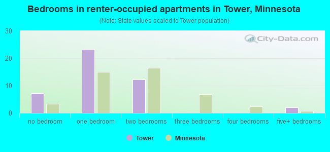 Bedrooms in renter-occupied apartments in Tower, Minnesota