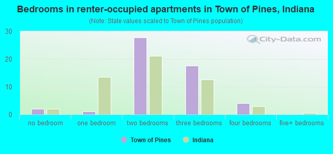 Bedrooms in renter-occupied apartments in Town of Pines, Indiana