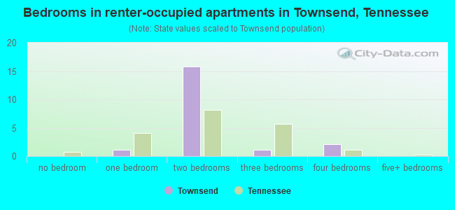 Bedrooms in renter-occupied apartments in Townsend, Tennessee