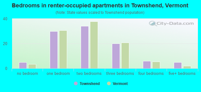 Bedrooms in renter-occupied apartments in Townshend, Vermont