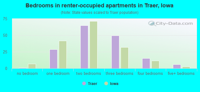 Bedrooms in renter-occupied apartments in Traer, Iowa