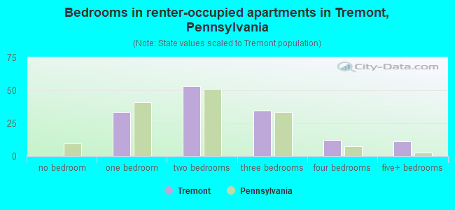 Bedrooms in renter-occupied apartments in Tremont, Pennsylvania