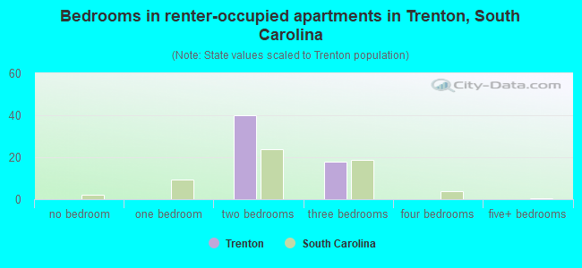 Bedrooms in renter-occupied apartments in Trenton, South Carolina