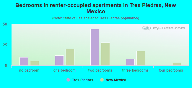 Bedrooms in renter-occupied apartments in Tres Piedras, New Mexico