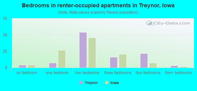 Bedrooms in renter-occupied apartments in Treynor, Iowa