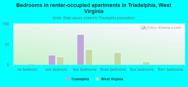 Bedrooms in renter-occupied apartments in Triadelphia, West Virginia