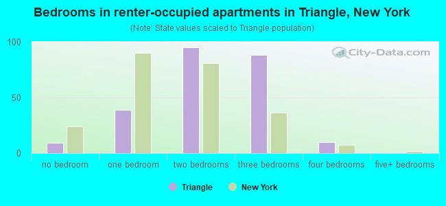 Bedrooms in renter-occupied apartments in Triangle, New York
