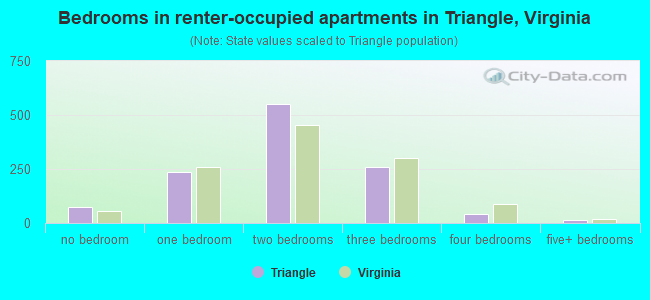 Bedrooms in renter-occupied apartments in Triangle, Virginia
