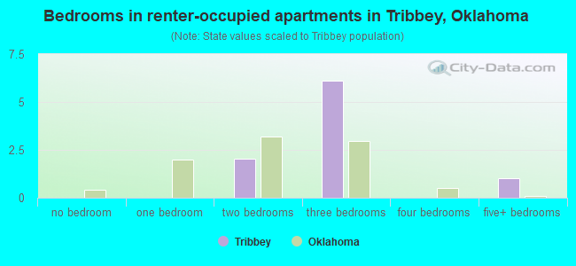 Bedrooms in renter-occupied apartments in Tribbey, Oklahoma