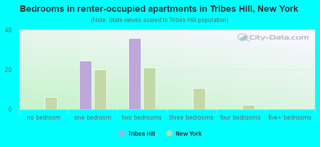 Bedrooms in renter-occupied apartments in Tribes Hill, New York