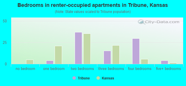 Bedrooms in renter-occupied apartments in Tribune, Kansas