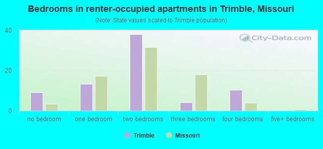 Bedrooms in renter-occupied apartments in Trimble, Missouri