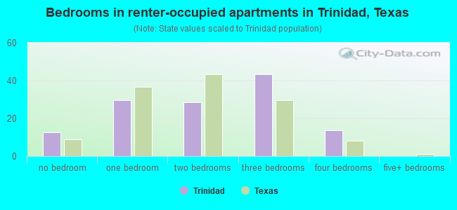 Bedrooms in renter-occupied apartments in Trinidad, Texas