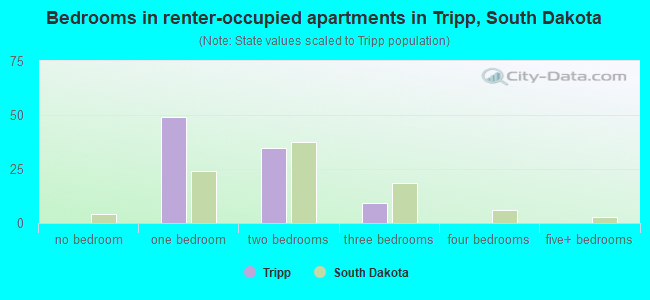 Bedrooms in renter-occupied apartments in Tripp, South Dakota