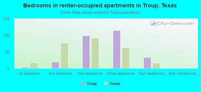 Bedrooms in renter-occupied apartments in Troup, Texas