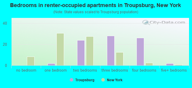 Bedrooms in renter-occupied apartments in Troupsburg, New York