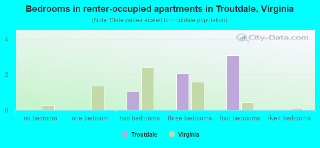 Bedrooms in renter-occupied apartments in Troutdale, Virginia